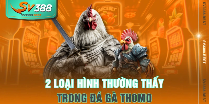 2 loại hình thường thấy trong đá gà Thomo