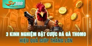 3 Kinh Nghiệm Đặt Cược Đá Gà Thomo Hiệu Quả Giúp Thắng Lớn