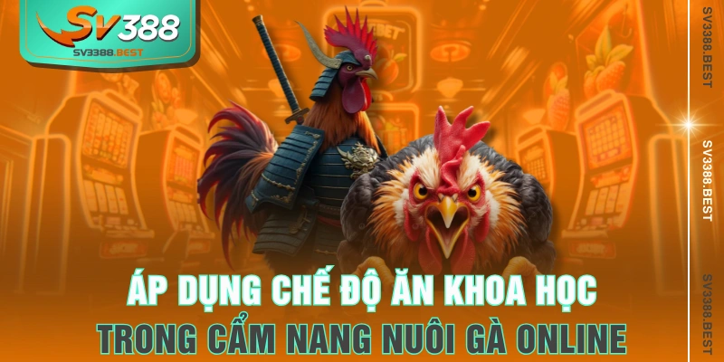 Áp dụng chế độ ăn khoa học trong cẩm nang nuôi gà online