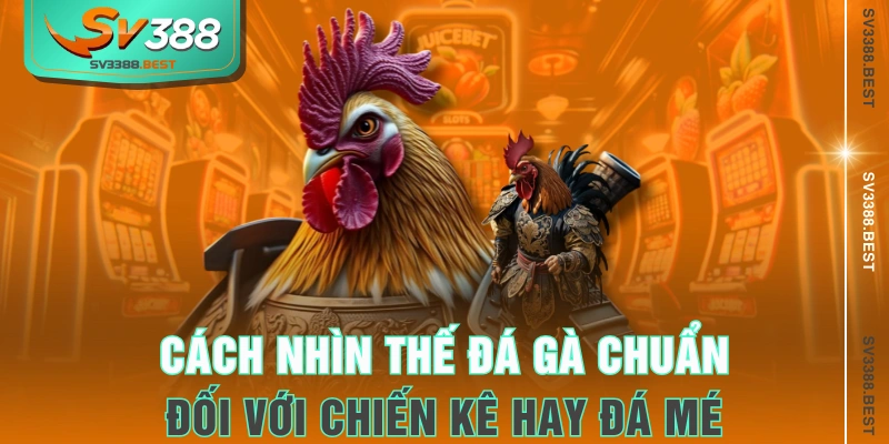 Cách nhìn thế đá gà chuẩn đối với chiến kê hay đá mé