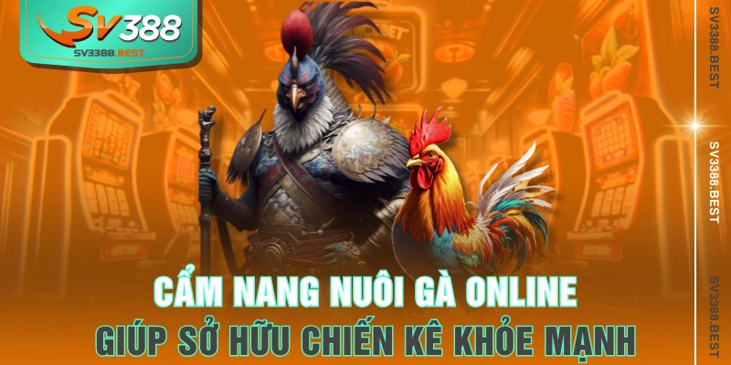 Cẩm nang nuôi gà online giúp sở hữu chiến kê khỏe mạnh