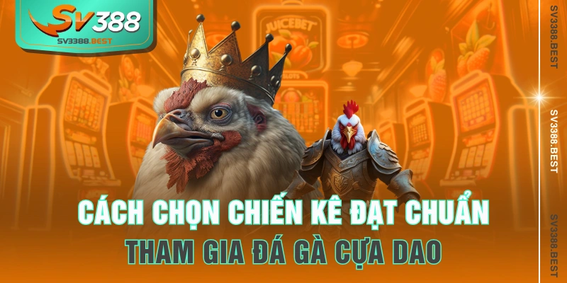 Cách chọn chiến kê đạt chuẩn tham gia đá gà cựa dao