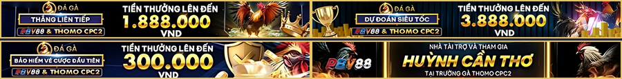 Đối tác uy tín PBV88 khuyến mãi cực khủng