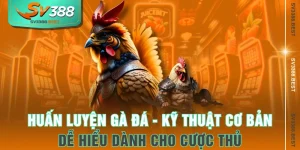 Huấn Luyện Gà Đá - Kỹ Thuật Cơ Bản Dễ Hiểu Dành Cho Cược Thủ