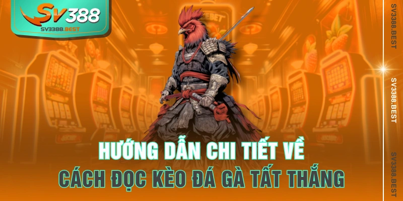 Hướng dẫn chi tiết về cách đọc kèo đá gà tất thắng