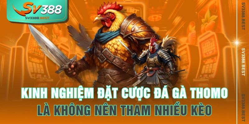 Kinh nghiệm đặt cược đá gà Thomo là không nên tham nhiều kèo