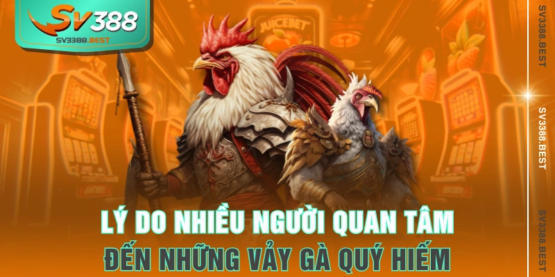 Lý do nhiều người quan tâm đến những vảy gà quý hiếm