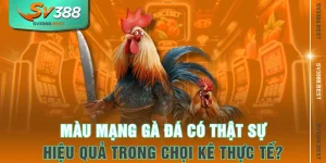 Màu Mạng Gà Đá Có Thật Sự Hiệu Quả Trong Chọi Kê Thực Tế?