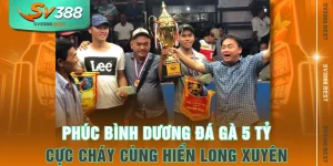 Phúc Bình Dương Đá Gà 5 Tỷ Cực Cháy Cùng Hiển Long Xuyên