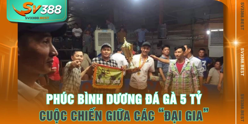 Phúc Bình Dương đá gà 5 tỷ - Cuộc chiến giữa các “đại gia”