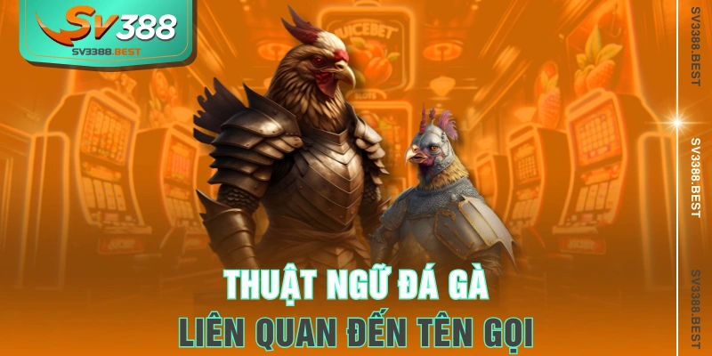 Thuật ngữ đá gà liên quan đến tên gọi