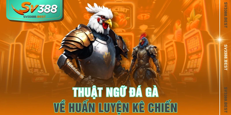 Thuật ngữ đá gà về huấn luyện kê chiến