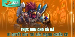 Thực Đơn Cho Gà Đá - Bí Quyết Duy Trì Sức Mạnh Chiến Kê