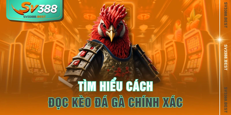 Tìm hiểu cách đọc kèo đá gà chính xác