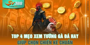 Top 4 Mẹo Xem Tướng Gà Đá Hay Giúp Chọn Chiến Kê Chuẩn