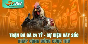 Trận Đá Gà 24 tỷ - Sự Kiện Gây Sốc Khắp Cộng Đồng Cược Thủ