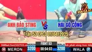 bảo sting và hải gò công gặp nhậu trận 53 cpc3
