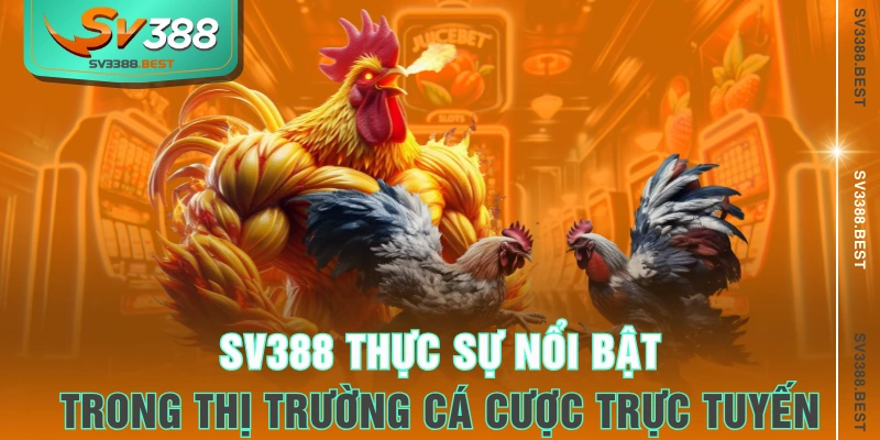 SV388 thực sự nổi bật trong thị trường cá cược trực tuyến